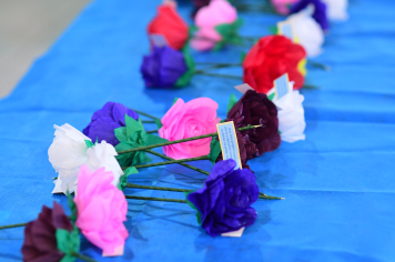 Foto - PROJETO LITERÁRIO - FRANCISCO JÁCOME